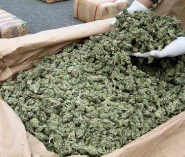 Catania – Traffico di marijuana tra l’Albania e la Sicilia