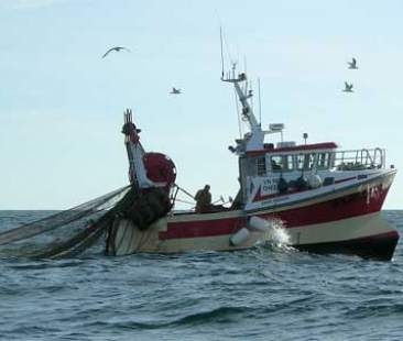 La Sicilia pensa a una nuova idea di pesca