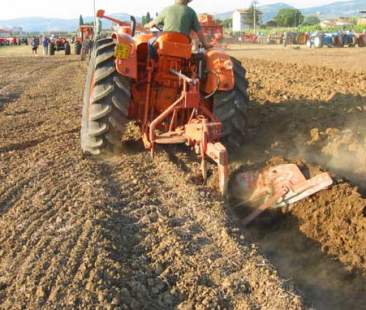 Terre incolte e Imu, in cerca di risposte