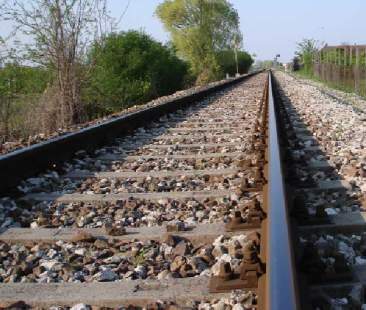 Trasporto, pesci in faccia alla Sicilia