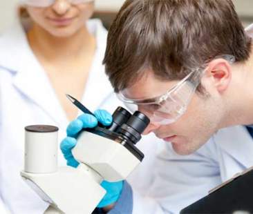 Il Cnr per la valorizzazione dei talenti