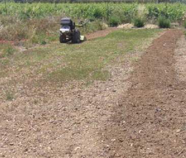 Terreni agricoli, il 20% a reddito zero