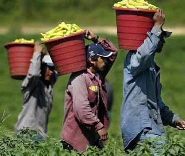 La Sicilia non è l’America 1 immigrato su 2 disoccupato