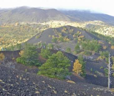 I 4 Parchi “bruciati” dal personale