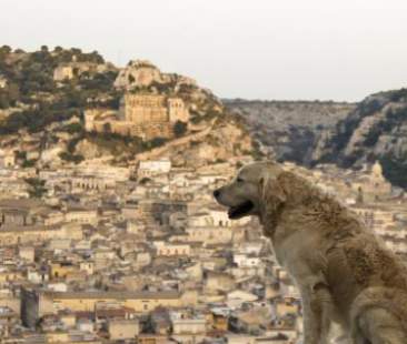 Cineturismo, per il rilancio del territorio