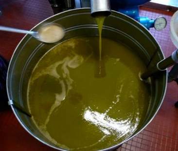 Olio di scarto combustibile del futuro