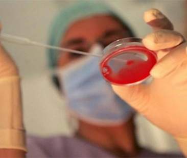 Fecondazione eterologa, le tariffe