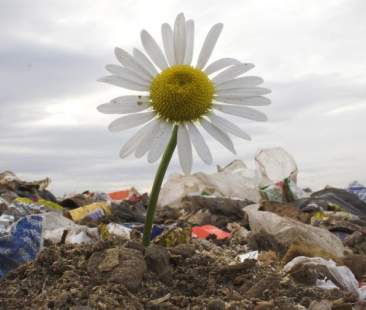 Sicilia, amministratori in discarica