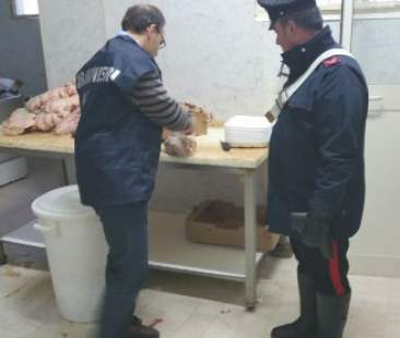 Palermo – Solfiti e nitrati nella carne per alterarne la qualità