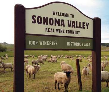 Sonoma Valley, la contea caratterizzata dai vini e da distese sconfinate di vigneti