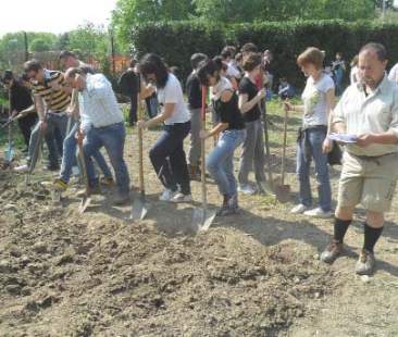 Orti urbani, in Sicilia solo singoli casi Orti urbani, in Sicilia solo singoli casi