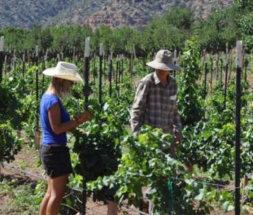 “Wwoof”: natura e sostenibilità diventano turismo e stile di vita “Wwoof”: natura e sostenibilità diventano turismo e stile di vita