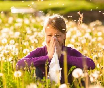 Una rete regionale per le allergie pediatriche