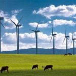 La Sicilia rinnovabile senza eccellenze