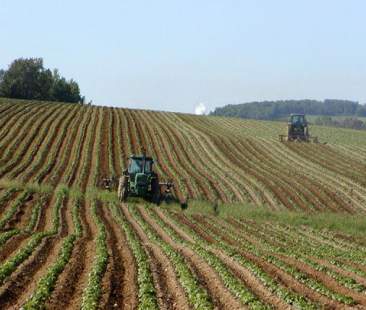 L’agricoltura sconfiggerà la crisi