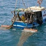 Economia del mare: in Sicilia in 12 anni esportazioni cresciute di soli 5 milioni di euro