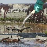 Ecoreati, la legge è approvata. Sanzioni fino a 100 mila euro