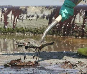 Ecoreati, la legge è approvata. Sanzioni fino a 100 mila euro