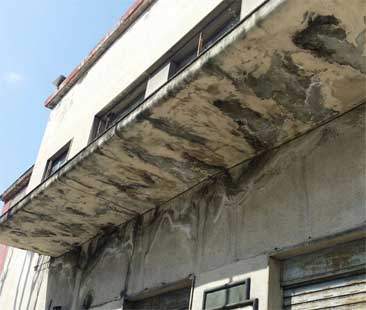 Mercati rionali a Messina: caos e nessuna sicurezza