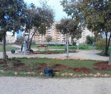 Palermo – Situazione difficile per il verde pubblico