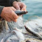 Pesca, in Sicilia sempre più in crisi