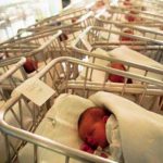 Bonus bebè, c’è tempo fino al 24 luglio. Ecco chi può accedere all’agevolazione