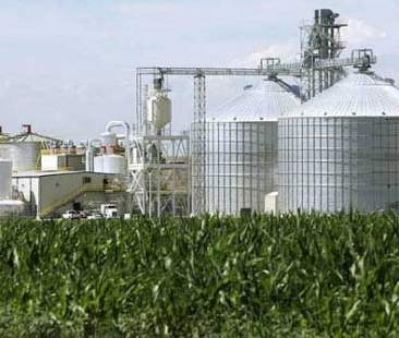 Start-up per valorizzazione le biomasse