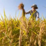 Agricoltura morta senza innovazione