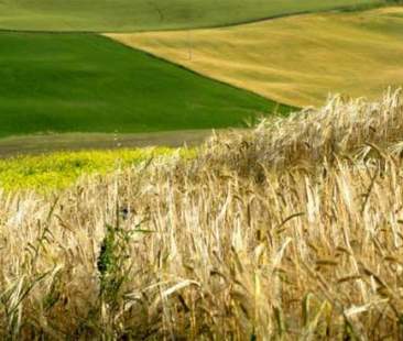 Imu agricola, Sicilia capofila tra le Regioni contrarie