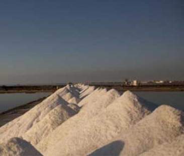 Contrada Nubia, “u paisi di l’agghi” nella fascia costiera di Paceco