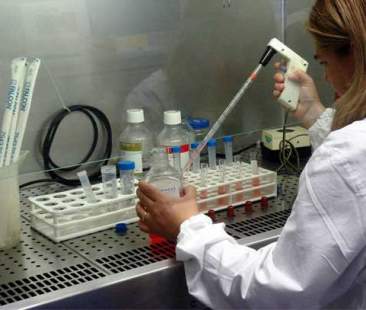 Obiettivi di crescita: la Sicilia è lontana da tutti i parametri Europa 2020