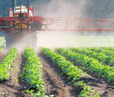 Controlli ufficiali su prodotti fitosanitari