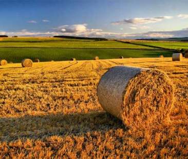 Ars, nel 2015 nessuna legge per l’agricoltura