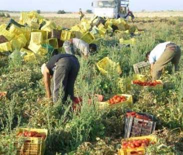 Caporalato, pugno duro del governo Renzi