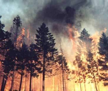 Estate bollente: è colpa dell’uomo. Così in Sicilia bruciano 688 ettari