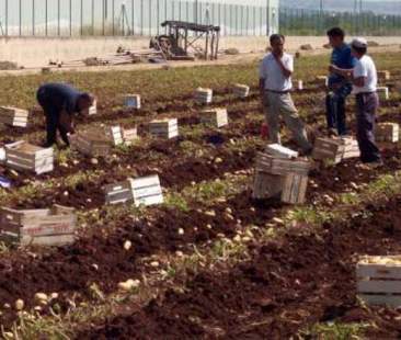 Lavoro nero e sfruttamento, la Sicilia è la capitale d’Italia