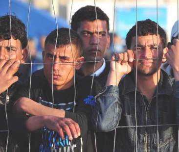 Immigrati tutti criminali? Falso. I dati che inchiodano gli sciacalli Immigrati tutti criminali? Falso. I dati che inchiodano gli sciacalli