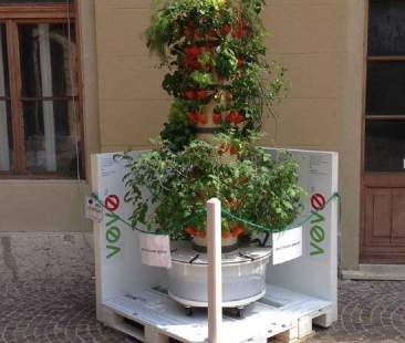 Arriva l’elettrodomestico Veve che fa l’orto anche in casa