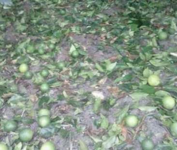 Maltempo, si contano i danni nel catanese