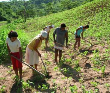 Schiavi nei campi: 1,2 mld di euro nascosti