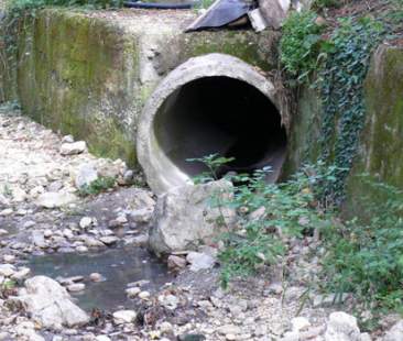 Ambiente, la Sicilia è in Africa