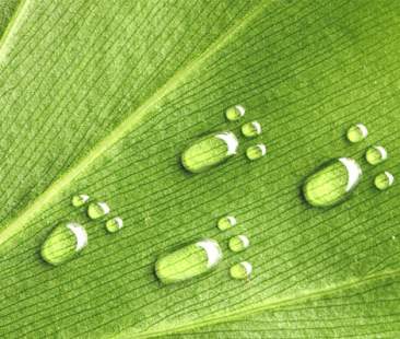 Carbon Footprint, impronta di carbonio per misurare l’impatto delle attività umane sul clima globale