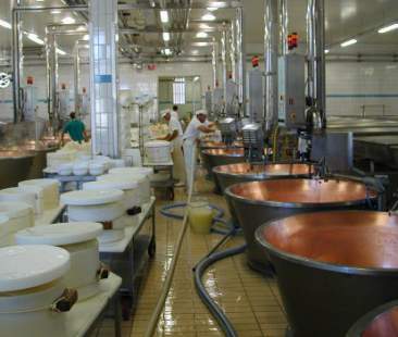 Caseifici siciliani in difficoltà: concorrenza delle cagliate introdotte senza controlli