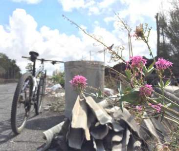 Bosco di Tarderia invaso dai rifiuti