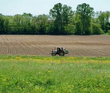 Senza rete, agricoltura al collasso