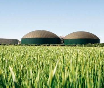 Bioenergia, la ricchezza ignorata