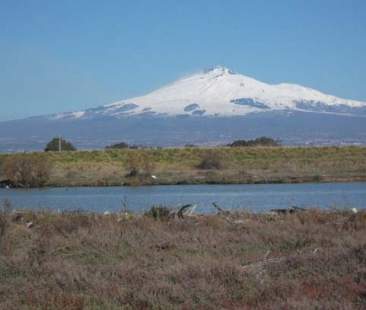 Catania – Una discarica dei rifiuti vicino all’Oasi del Simeto