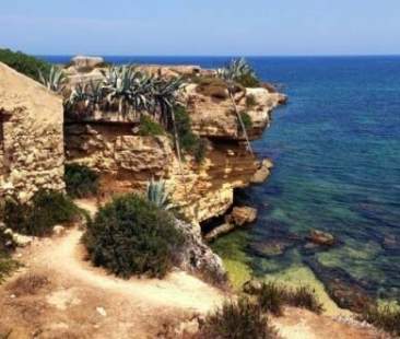 Interventi in Aree protette, quattro i progetti selezionati