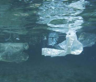 I nostri mari come pattumiere