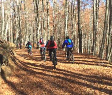 Mobilità dolce: tutela e valorizzazione del patrimonio stradale in abbandono